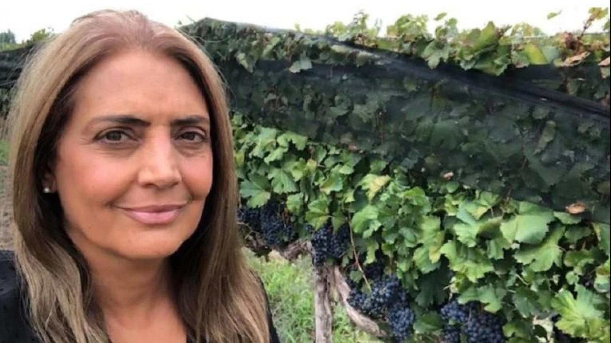 Lizana defendió los precios de las uvas sugeridos por los productores